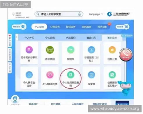 如何避免应用安装中断?官方渠道与权限设置指南